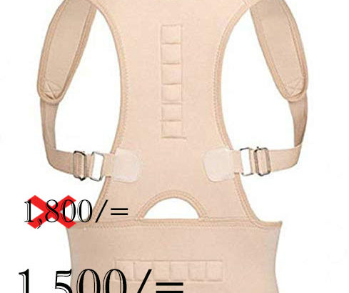 Back Support Belt